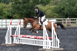 Class 6 - Fences not above 2'9